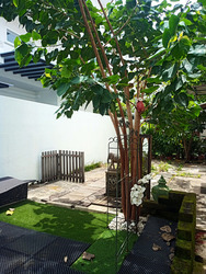 Everitt Road (D15), Detached #451612611